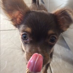 Meet your Posher, Maggie